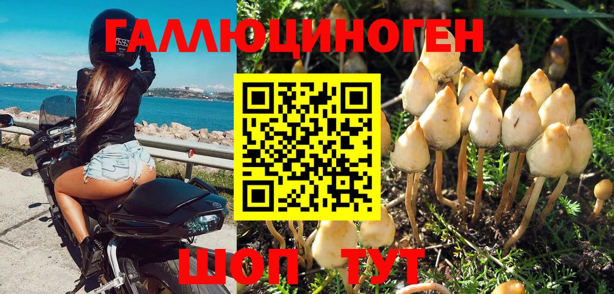 Галлюциногенные грибы Magic Shrooms  Вход с VPN  Туймазы 